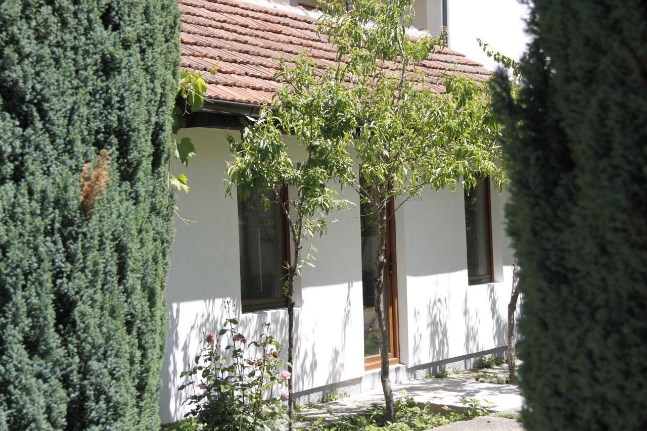 Garden Guesthouse Gjakova エクステリア 写真
